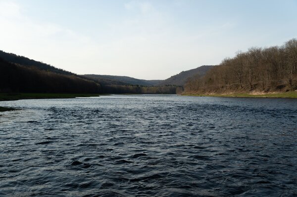 upper delaware river guided fly fishing trips with new york fishing guide jesse filingo (1393)