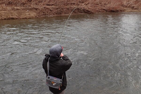 delaware river guided fly fishing trips (99)