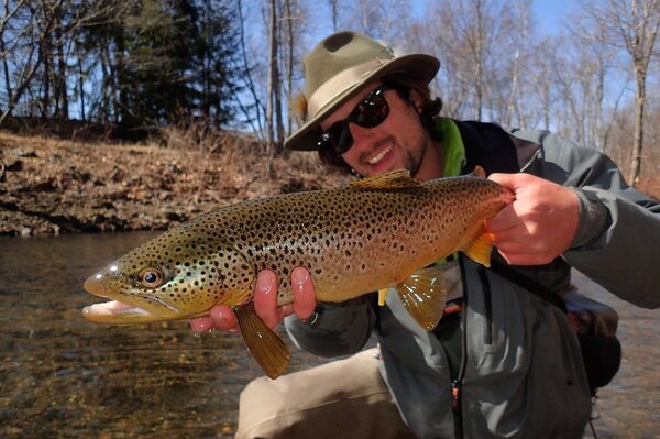 guided fly fishing for wild brown trout (109)
