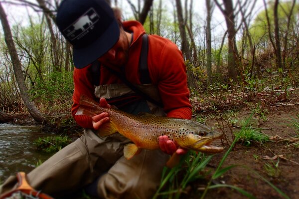 wild brown trout in the pocono mountains with jesse filingo of filingo fly fishing (338)