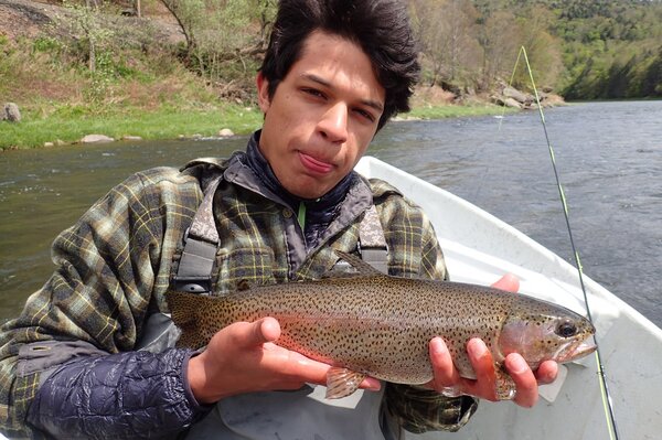 rainbow trout on the delaware river (144)