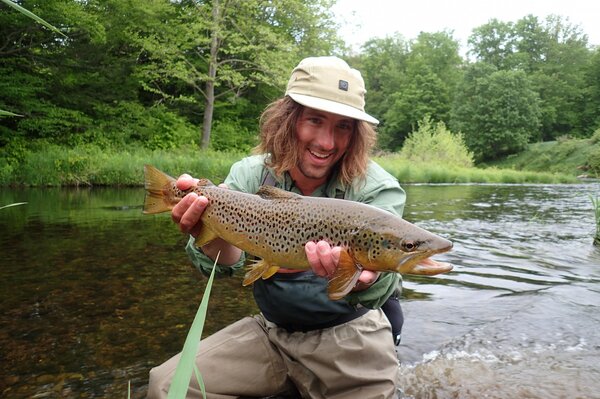 upper delaware river wild brown trout on a guided fly fishing trip with jesse filingo (367)