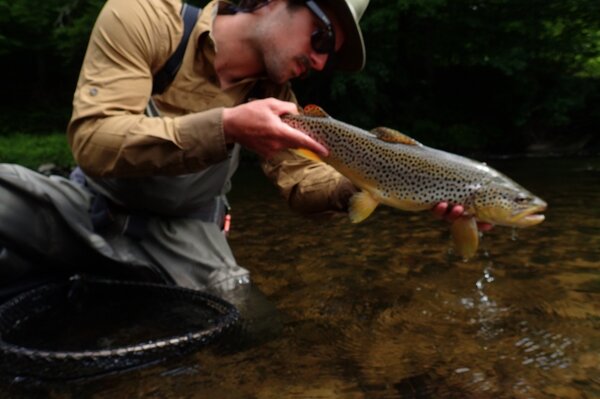 fly fishing the pocono mountains with guide jesse filingo (816)