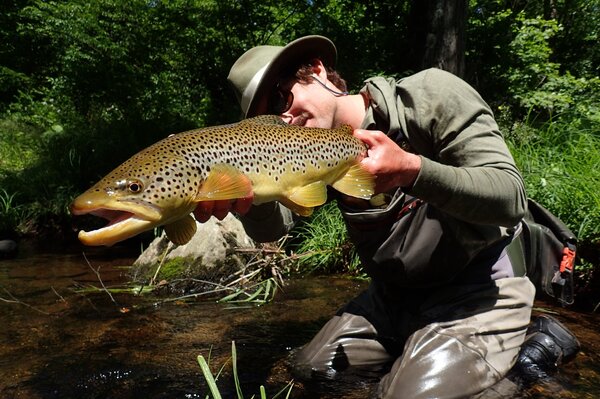 pocono mountains guided fly fishing tours (875)