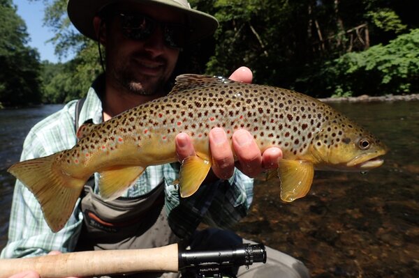 guided fly fishing tours in the pocono mountains with jesse filingo of filingo fly fishing for brown trout (586)