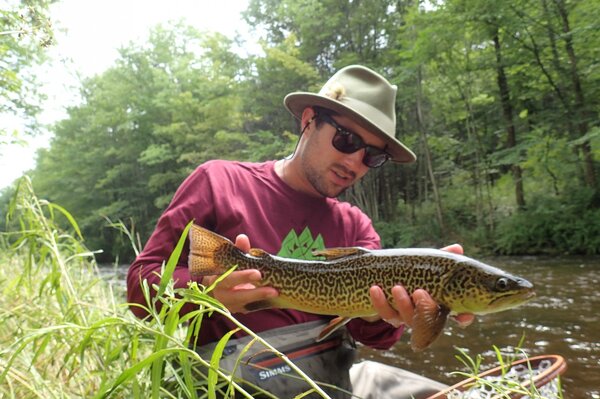 fly fishing the pocono mountains for wild brown and rainbow trout with jesse filingo of filingo fly fishing (601)