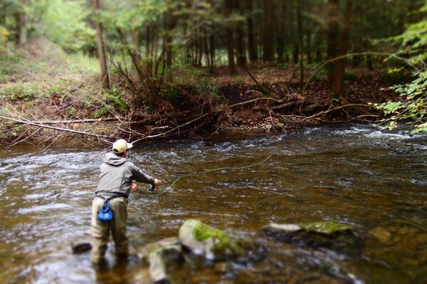 pocono mountains guided fly fishing tours for brook and brown trout with filingo fly fishing (648)