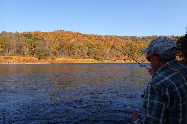 guided fly fishing tours on the delaware river for big trout with jesse filingo of filingo fly fishing (1003)