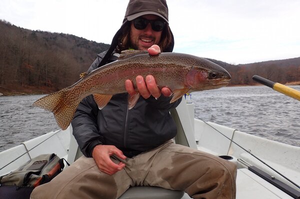 wild rainbow trout caught on the delaware river with jesse filingo of filingo fly fishing (453)