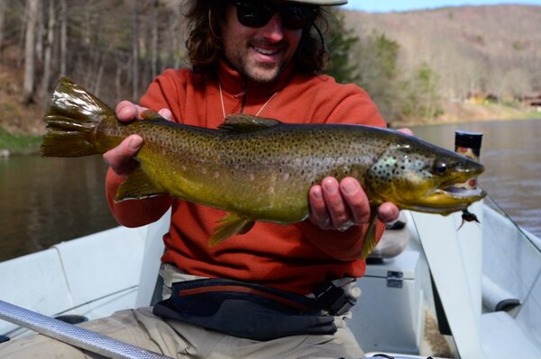 upper delaware river brown trout caugh by jesse filingo of filingo fly fishing on the west branch of the delaware river (340)