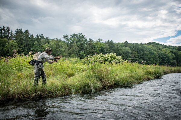 west branch delaware river fly fishing guide (270)