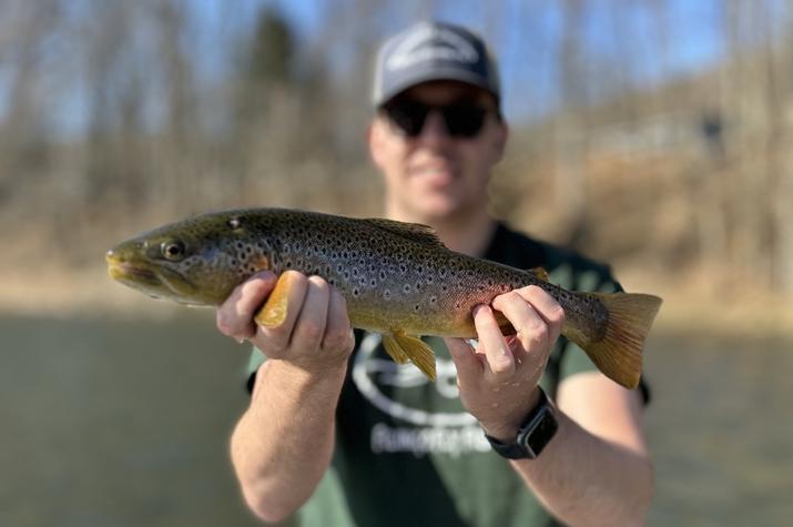 fly fishing west branch delaware river trout
