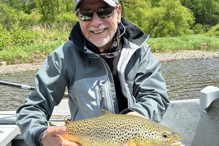 fly fishing new york upper delaware river wild trout