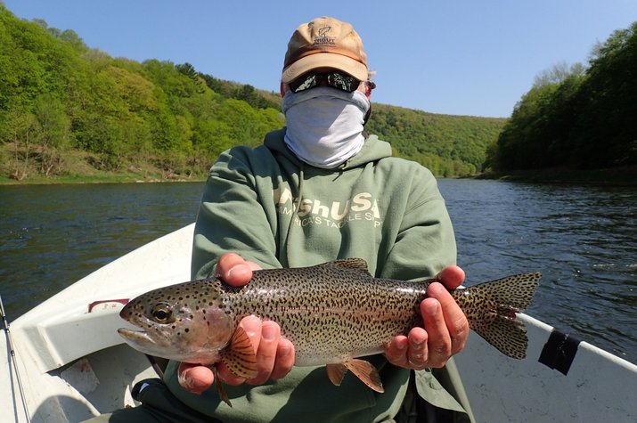 guided fly fishing upper delaware river and pocono mountains with filingo fly fishing big wild brown trout