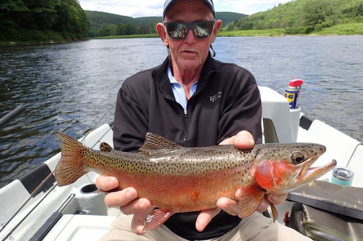 guided fly fishing for big trout new yorks upper delaware river and pennsylvania pocono mountains with filingo fly fishing