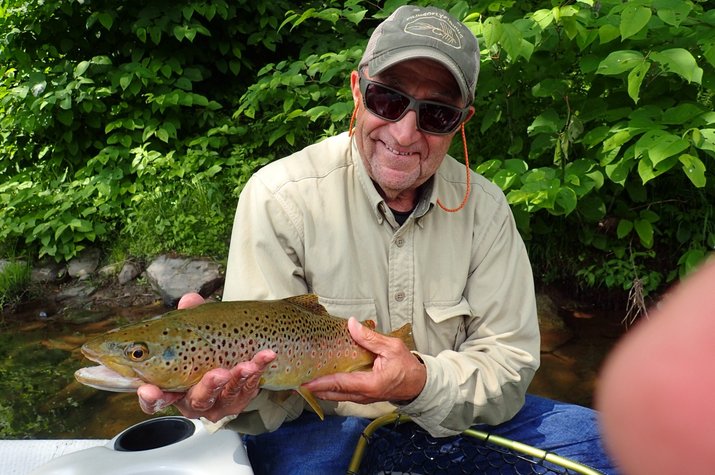 west branch delaware river brown trout