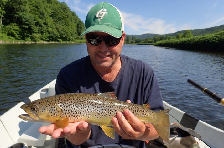 guided fly fishing new york pennsylvania delaware river brown trout 