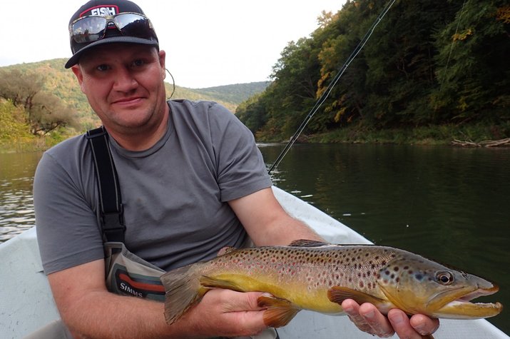 guided fly fishing west branch delaware river new york and pennsylvania big brown trout filingo fly fishing