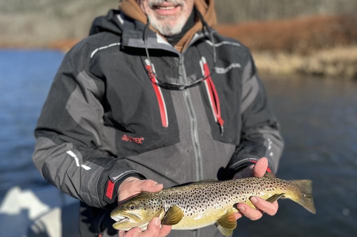 west branch delaware river wild trout
