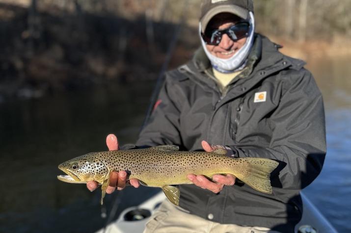 guided fly fishing upper delaware river brown trout