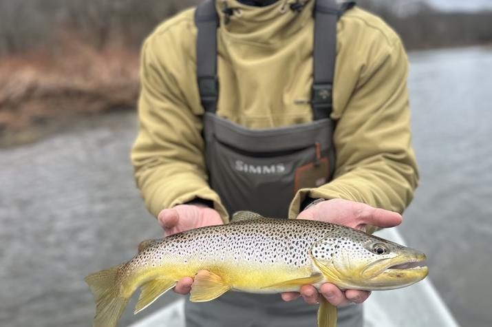 guided fly fishing west branch delaware river