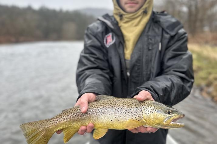 upper delaware river fly fishing guide