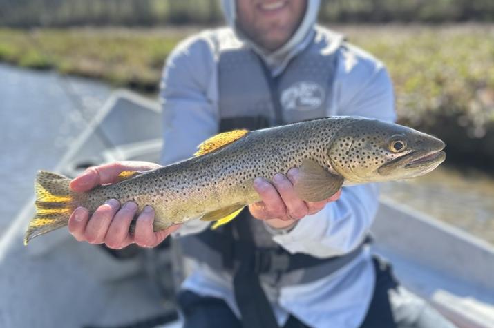 delaware river fly fishing guide jesse filingo