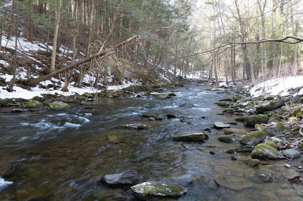 guided fly fishing new york upper delaware river  (1336)