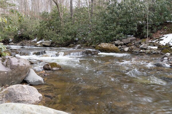 guided fly fishing Pennsylvania pocono mountains fly fishing jesse filingo (1339)