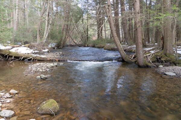 upper delaware river new york and pennsylvania guided fly fishing filingo fly fishing (1343)