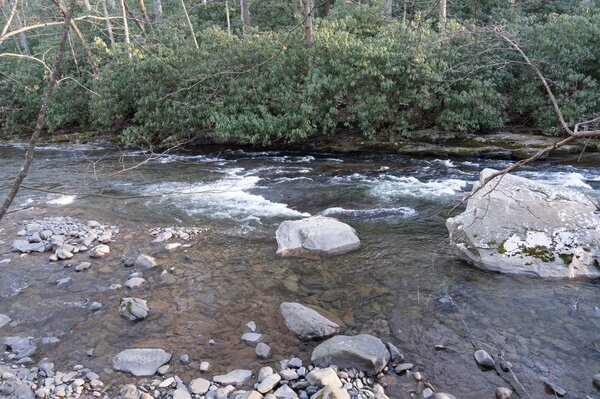 guided fly fishing pennsylvania pocono mountains guided fly fishing new york delaware river with jesse filingo (1309)