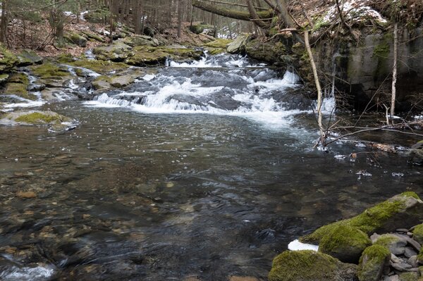 guided fly fishing pocono mountains pennsylvania guided fly fishing new york delaware river with filingo fly fishing (1310)