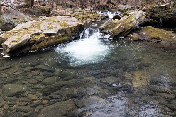 guided fly fishing pocono mountains pennsylvania guided fly fishing upper delaware river new york with jesse filingo of fillingo fly fishing (1311)