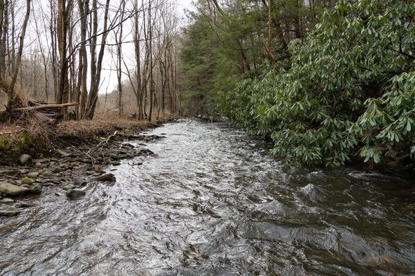 guided fly fishing pennsylvania pocono mountains wild trout filingo fly fishing (1305)