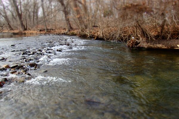 guided fly fishing in the Pocono Mountains (287)