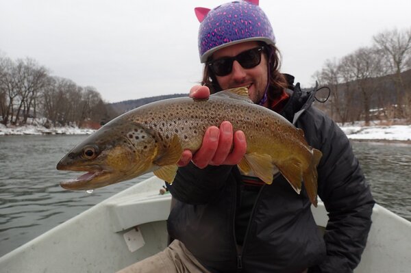 fly fishing for wild trout and wild brown trout on the upper delaware river on guided fly fishing float trip tours with jesse filingo of filingo fly fishing (472)