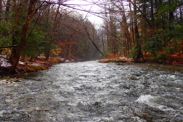 fly fishing the pocono mountains with jesse filingo of filingo fly fishing for wild trout on guided fly fishing tours catching wild brown trout (466)