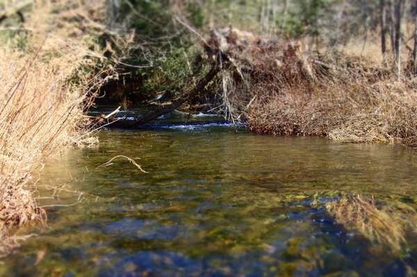 guided fly fishing trips in the pocono mountains with jesse filingo of filingo fly fishing for wild brown trout and wild brook trout (476)