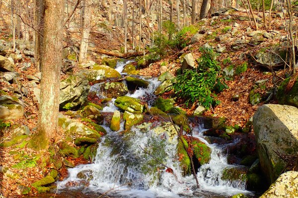 take a guided fly fishing tour with jesse filingo of filingo fly fishing on the upper delaware river for wild brown trout and wild rainbow trout on a guided drift boat fly fishing tour (479)