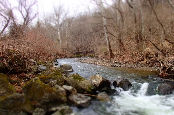 guided fly fishing in pennsylvania's pocono mountains for wild trout with jesse filingo of filingo fly fishing (1035)