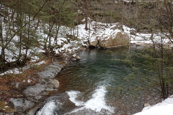 guided fly fishing trips for wild trout throughout the pocono mountains with jesse filingo of filingo fly fishing (491)