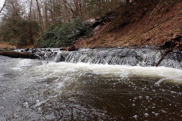 pocono mountains pennsylvania guided fly fishing (1050)