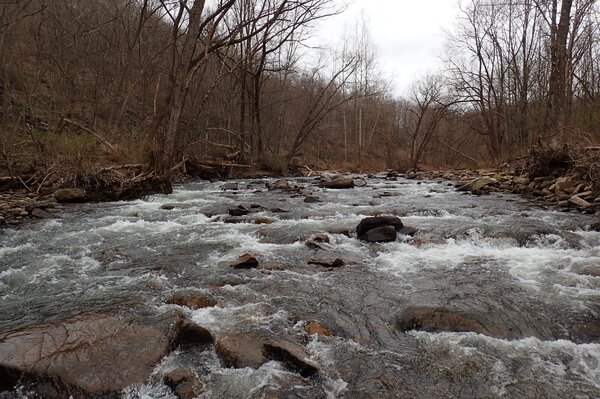 pocono mountains pennsylvania trout fishing jesse filingo (1053)