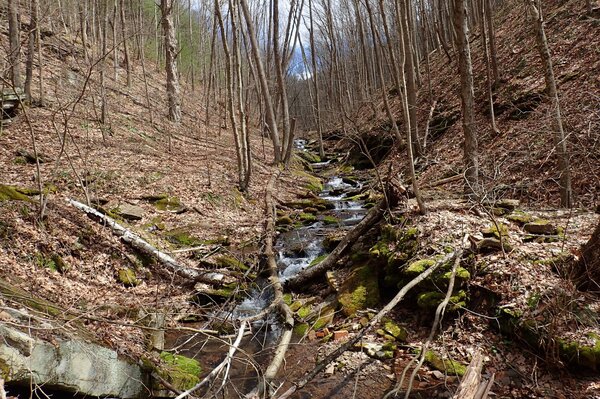 guided fly fishing pennsylvania pocono mountains (1056)