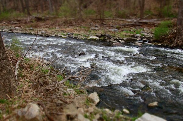 guided fly fishing with jesse filingo in the pocono mountains (329)