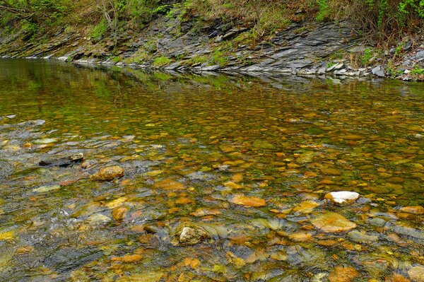 pennsylvania wild trout streams (128)
