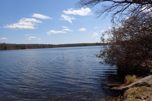 pennsylvania and new york fly fishing guide for trout in pocono mountains delaware river (1059)