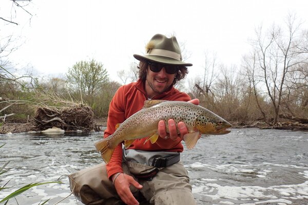 wild pennsylvania brown trout (130)