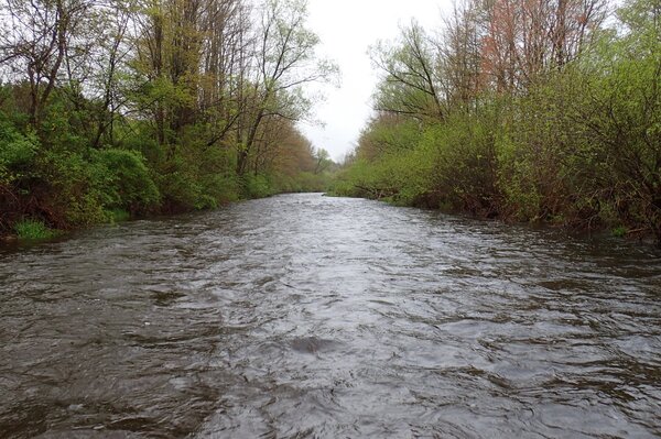 fly fishing the pocono mountains for big wild trout with filingo fly fishing (795)