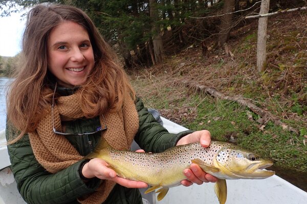 guided fly fishing west branch delaware river big brown trout delaware river (1062)